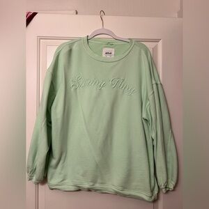 Aerie Light Green Crew Neck Sweater